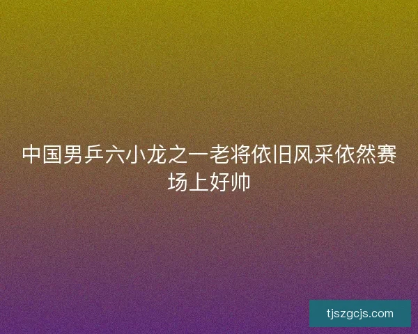 中国男乒六小龙之一老将依旧风采依然赛场上好帅