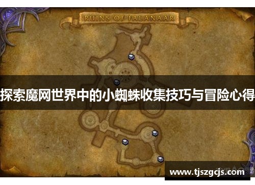 探索魔网世界中的小蜘蛛收集技巧与冒险心得